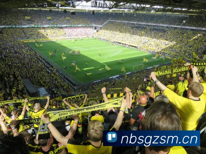 爱游戏全站首页APP 封面图